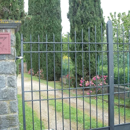 L'olivo *