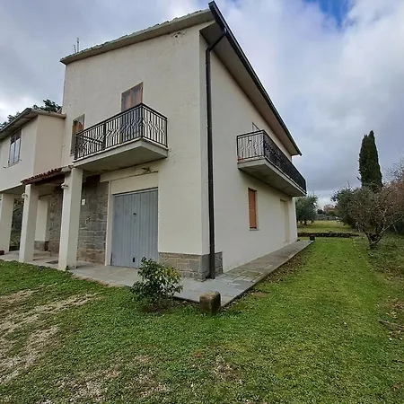 L'olivo Lubriano