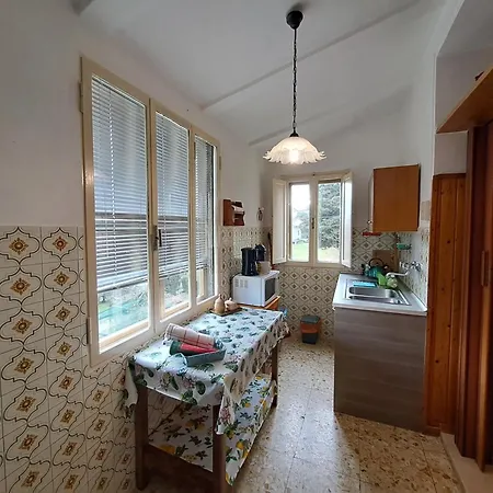 L'olivo